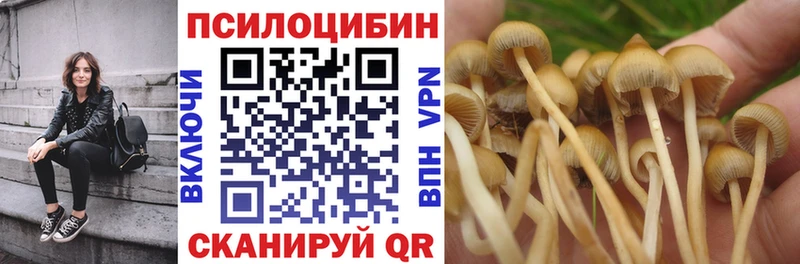 Галлюциногенные грибы мухоморы  купить закладку  Корсаков 